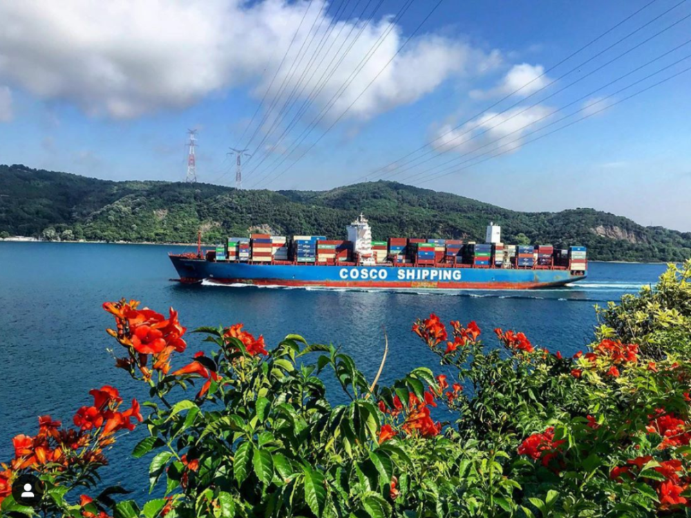 船期延誤的“元兇”之首，可能不是天氣